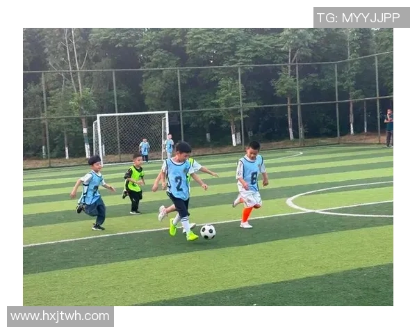 足球逍的魅力与激情探讨如何在绿茵场上实现梦想与团队合作