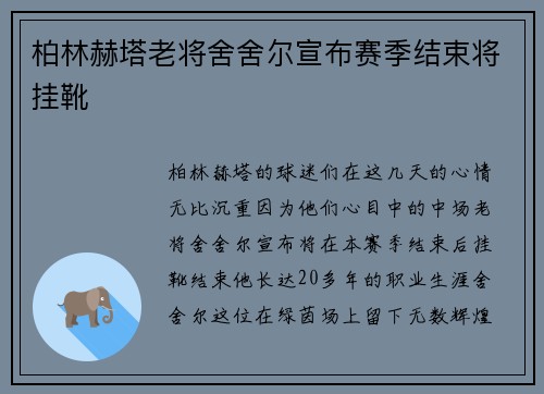 柏林赫塔老将舍舍尔宣布赛季结束将挂靴