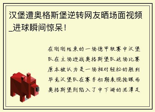 汉堡遭奥格斯堡逆转网友晒场面视频_进球瞬间惊呆！