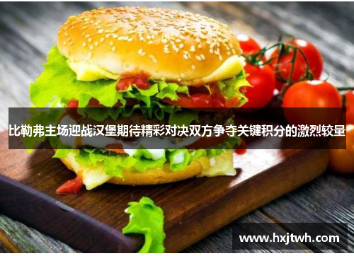 比勒弗主场迎战汉堡期待精彩对决双方争夺关键积分的激烈较量